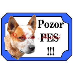 Tabulka australský honácký pes