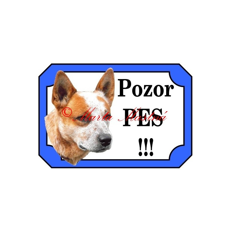 Tabulka australský honácký pes