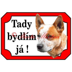 Tabulka australský honácký pes