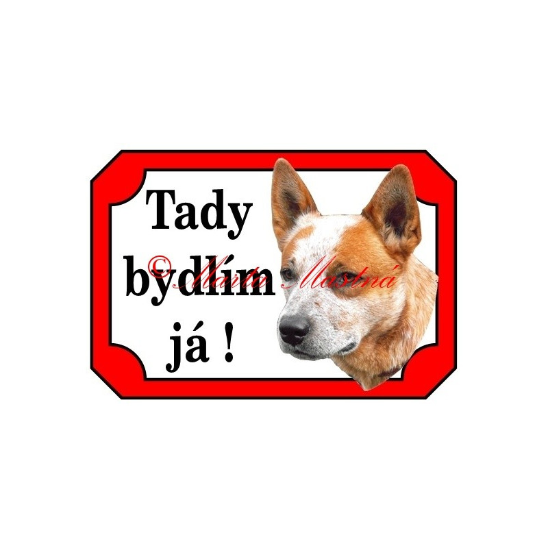 Tabulka australský honácký pes