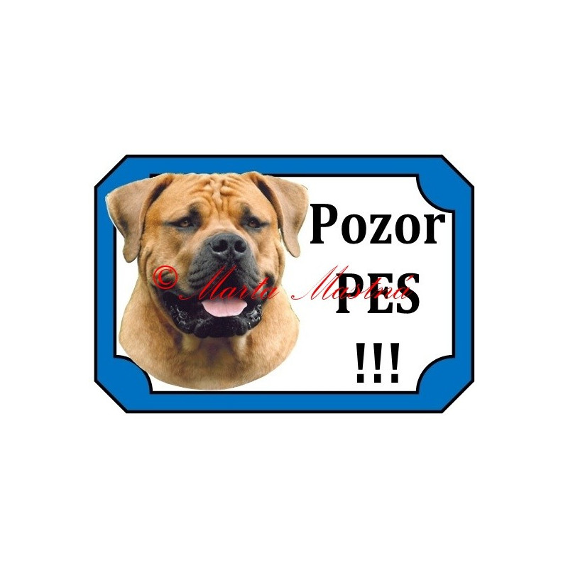 Tabulka búrský buldok, burbul, boerboel