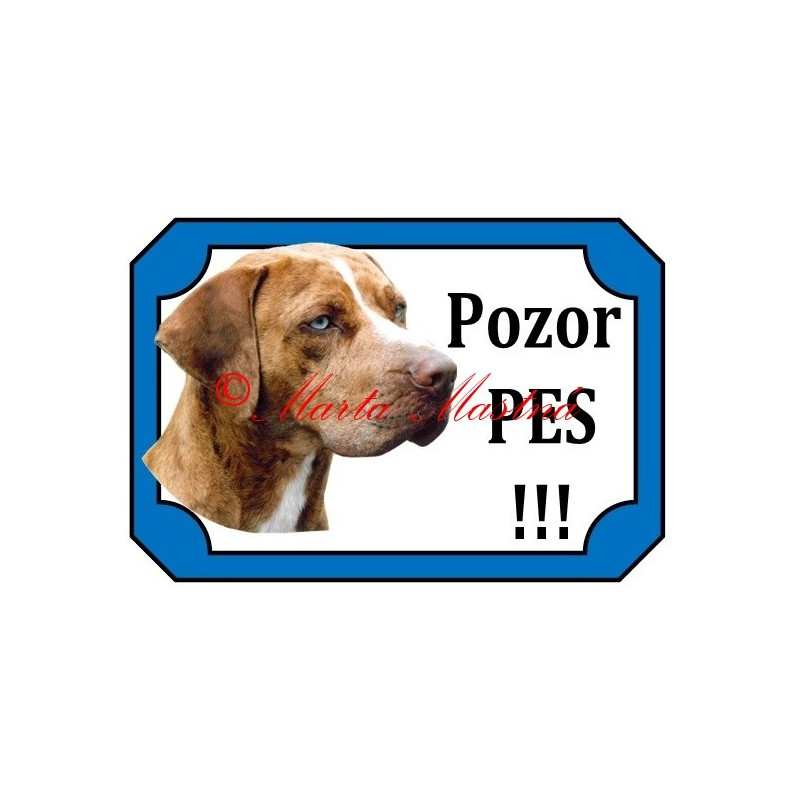 Tabulka catahoula louisiana leopard dog