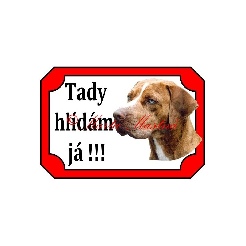 Tabulka catahoula louisiana leopard dog