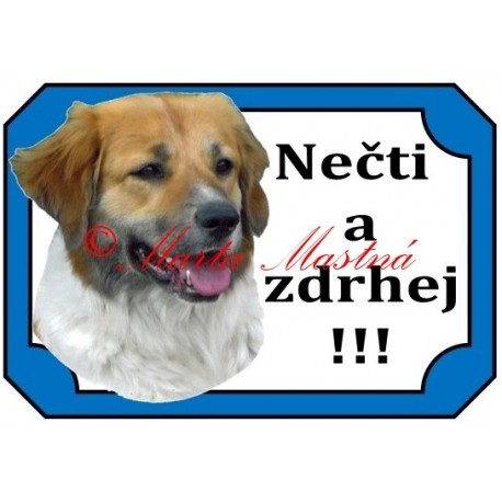 Tabulka český horský pes