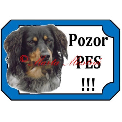 Tabulka český strakatý pes