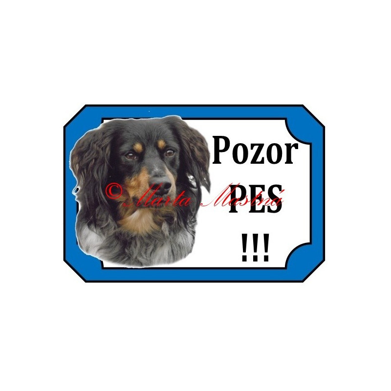 Tabulka český strakatý pes