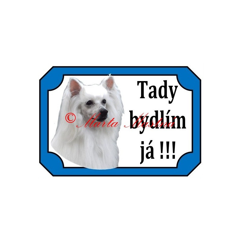Tabulka čínský chocholatý pes
