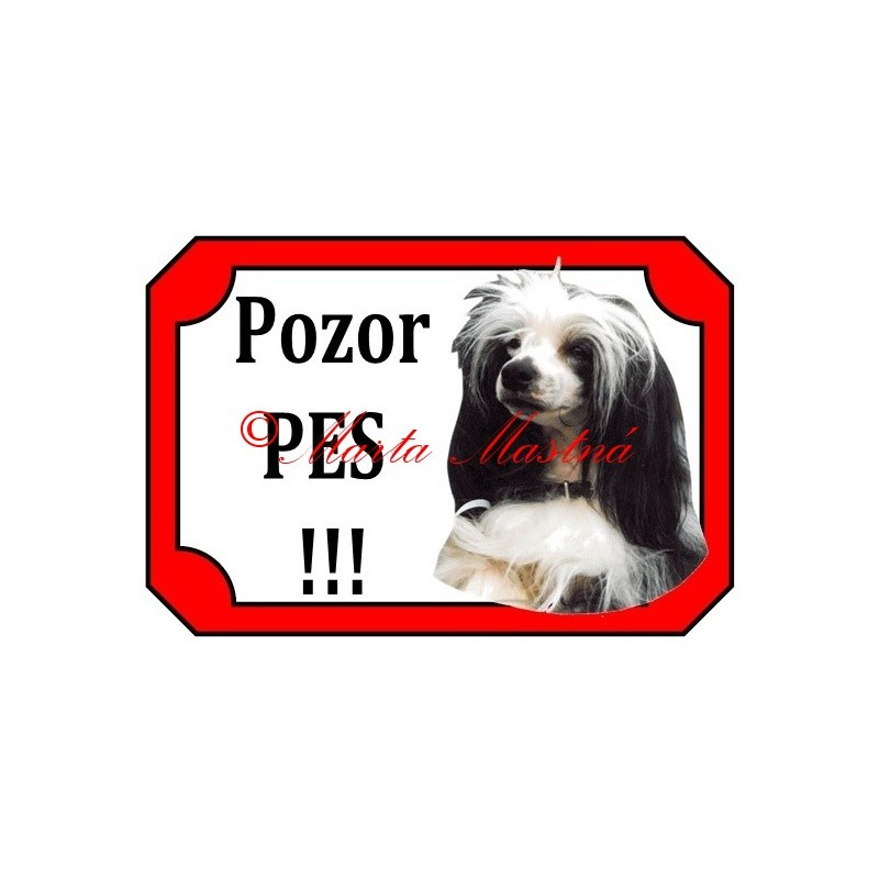 Tabulka čínský chocholatý pes - labutěnka
