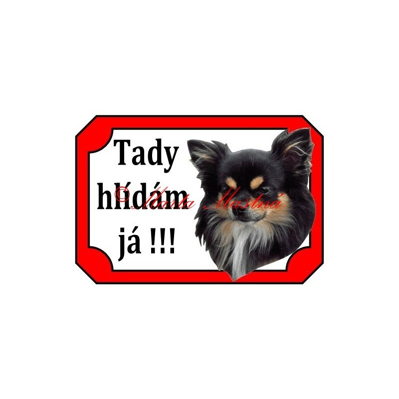 Tabulka čivava, chihuahua