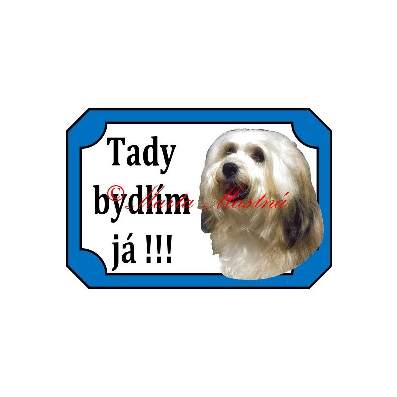 Tabulka havanský psík