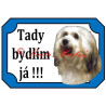 Tabulka havanský psík