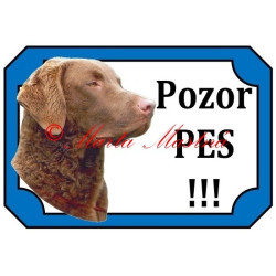 Tabulka chesepeake bay retrívr