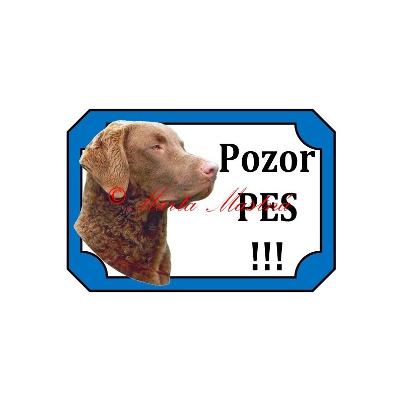 Tabulka chesepeake bay retrívr