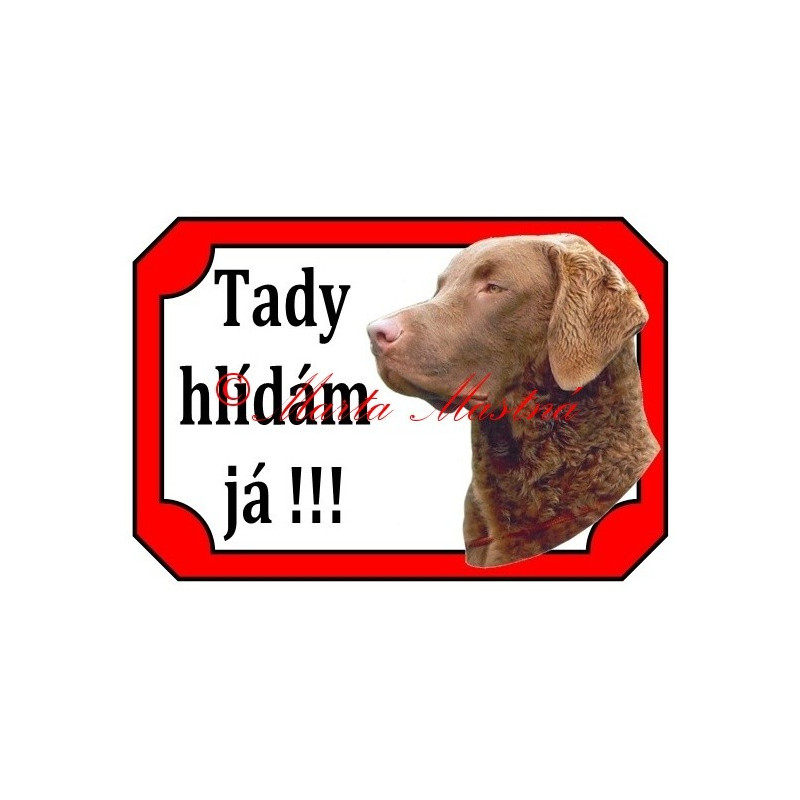 Tabulka chesepeake bay retrívr