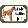 Tabulka irský teriér