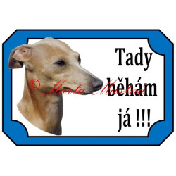 Tabulka italský chrtík