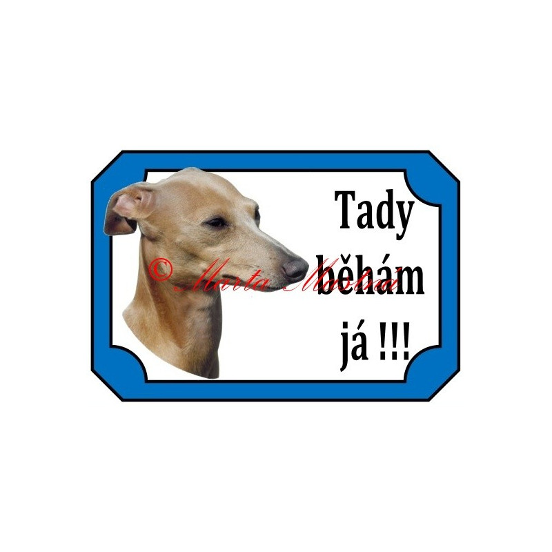 Tabulka italský chrtík