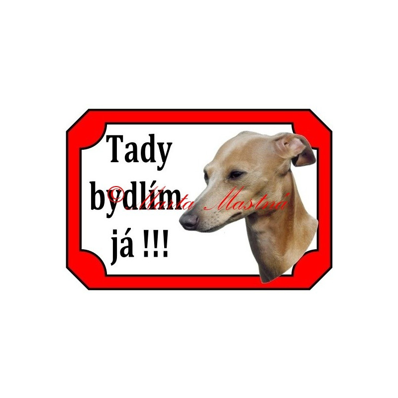 Tabulka italský chrtík