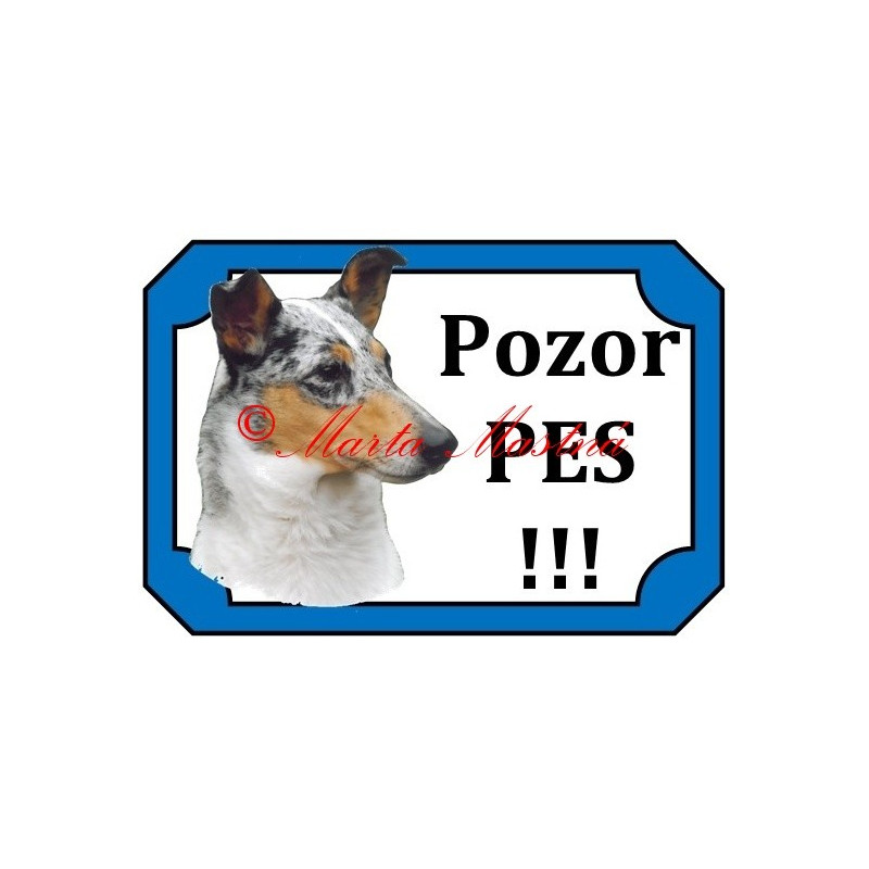 Tabulka kolie krátkosrstá