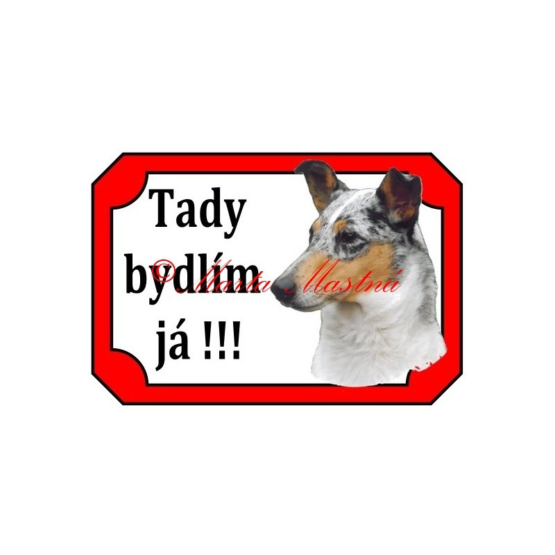 Tabulka kolie krátkosrstá