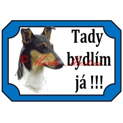 Tabulka kolie krátkosrstá