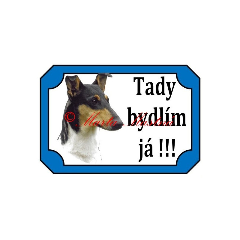 Tabulka kolie krátkosrstá