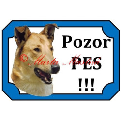 Tabulka kolie krátkosrstá