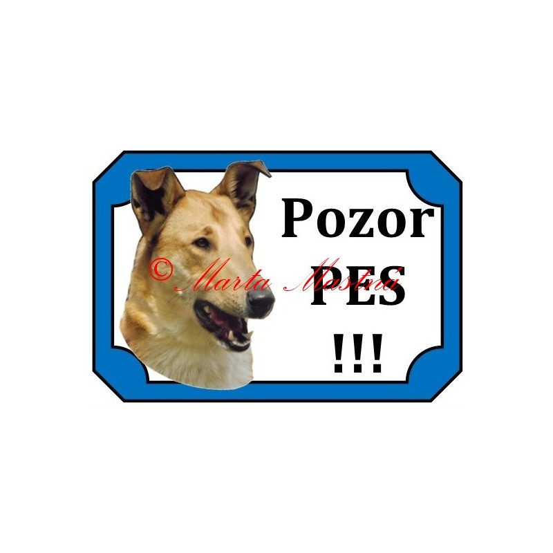 Tabulka kolie krátkosrstá