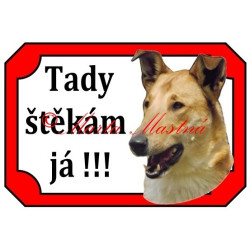 Tabulka kolie krátkosrstá