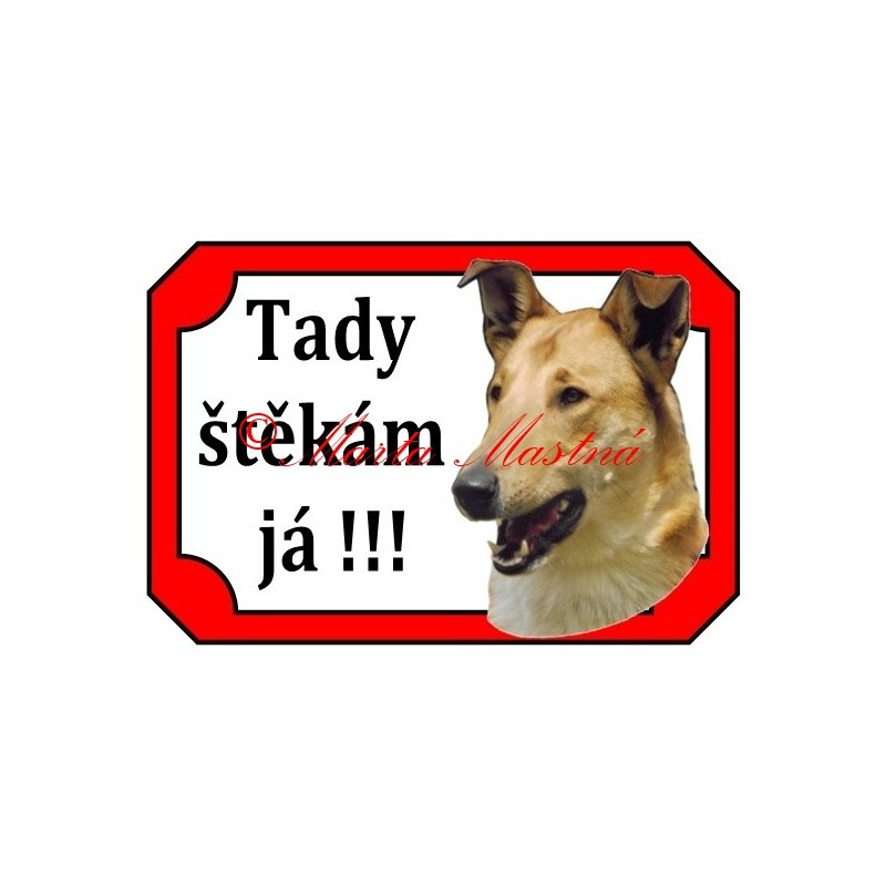 Tabulka kolie krátkosrstá