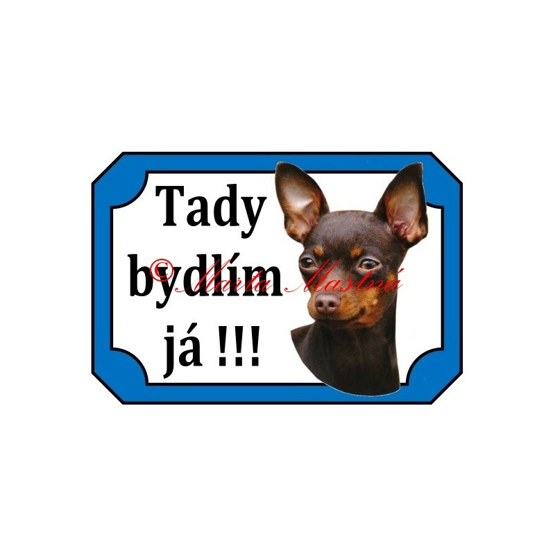 Tabulka pražský krysařík