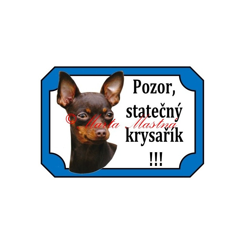 Tabulka pražský krysařík