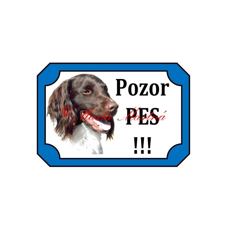 Tabulka malý münsterlandský ohař