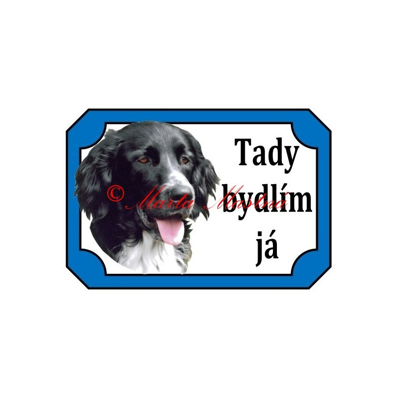 Tabulka velký münsterlandský ohař