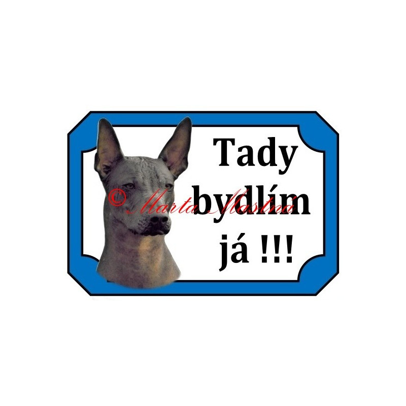 Tabulka peruánský naháč