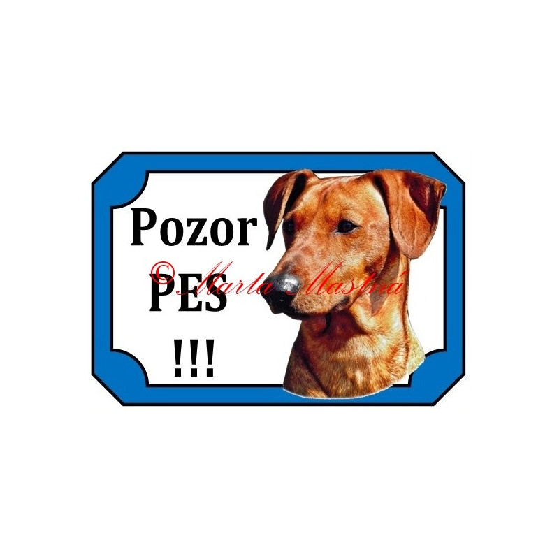 Tabulka německý pinč