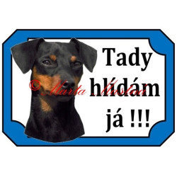 Tabulka malý hladkosrstý pinč