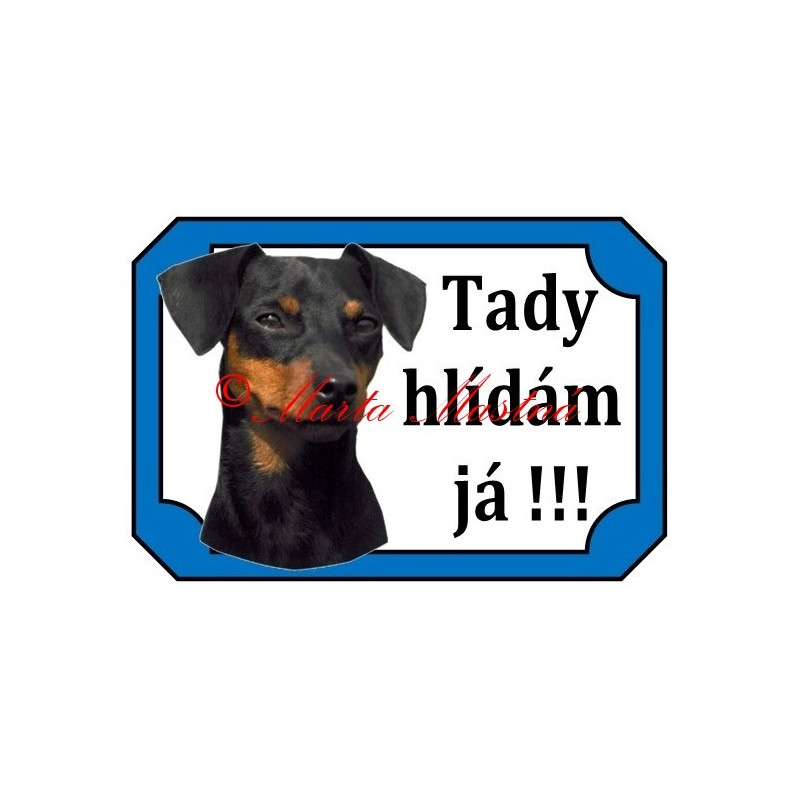 Tabulka malý hladkosrstý pinč