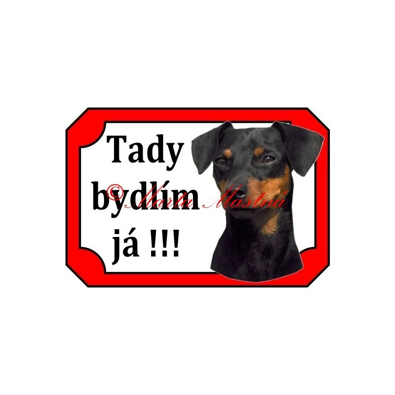 Tabulka malý hladkosrstý pinč