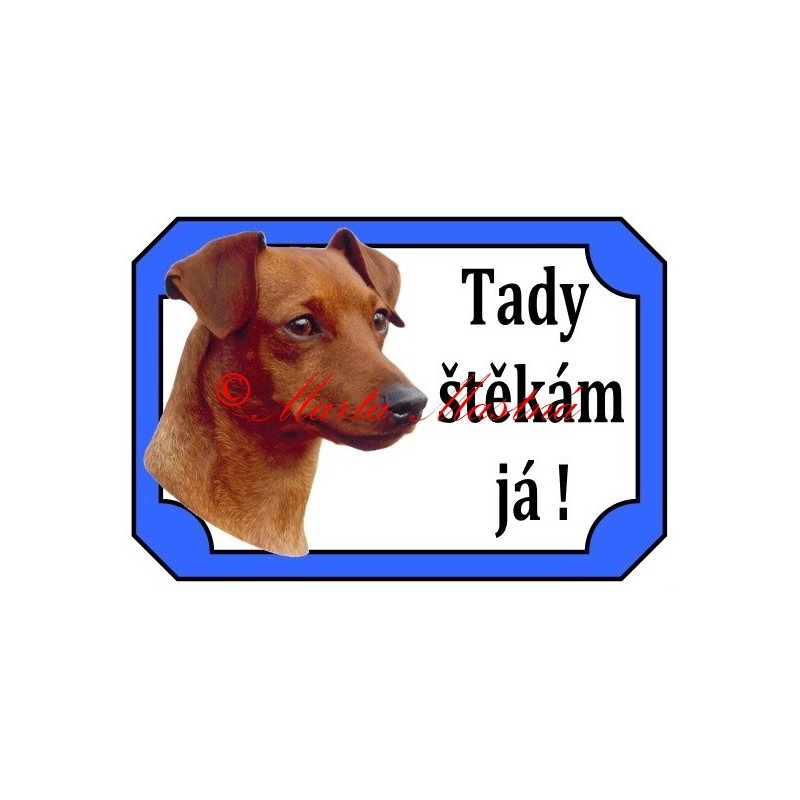 Tabulka malý hladkosrstý pinč