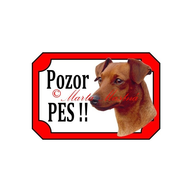 Tabulka malý hladkosrstý pinč