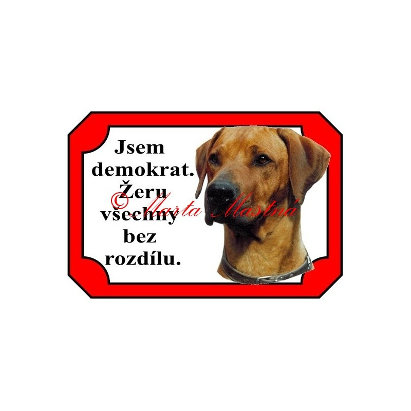 Tabulka ridžbek, rhodesian ridgeback