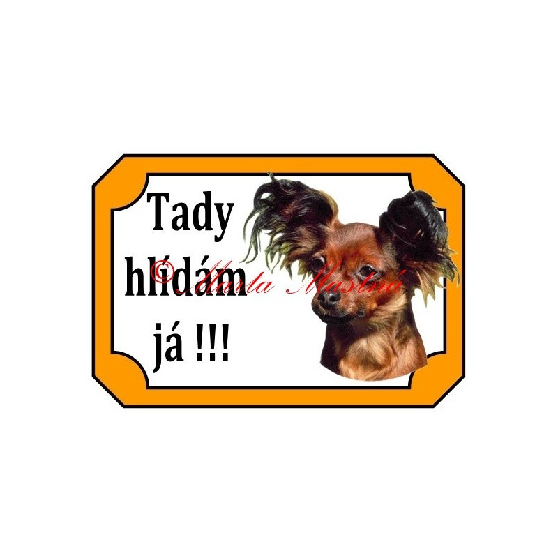 Tabulka ruský toy teriér