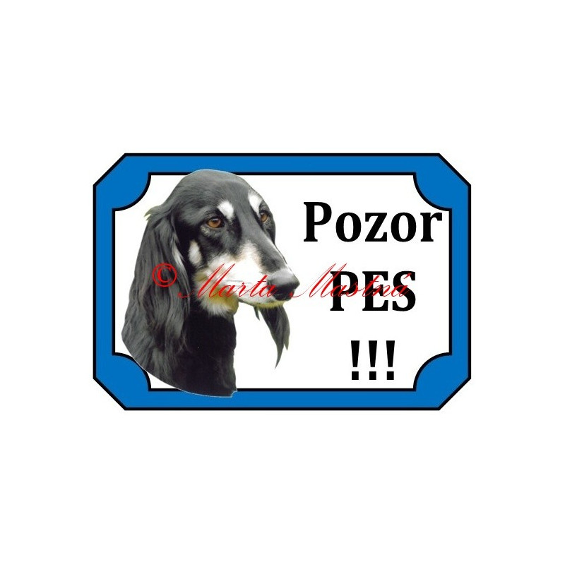 Tabulka perský chrt saluki