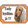 Tabulka perský chrt saluki