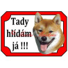 Tabulka šiba, shiba inu