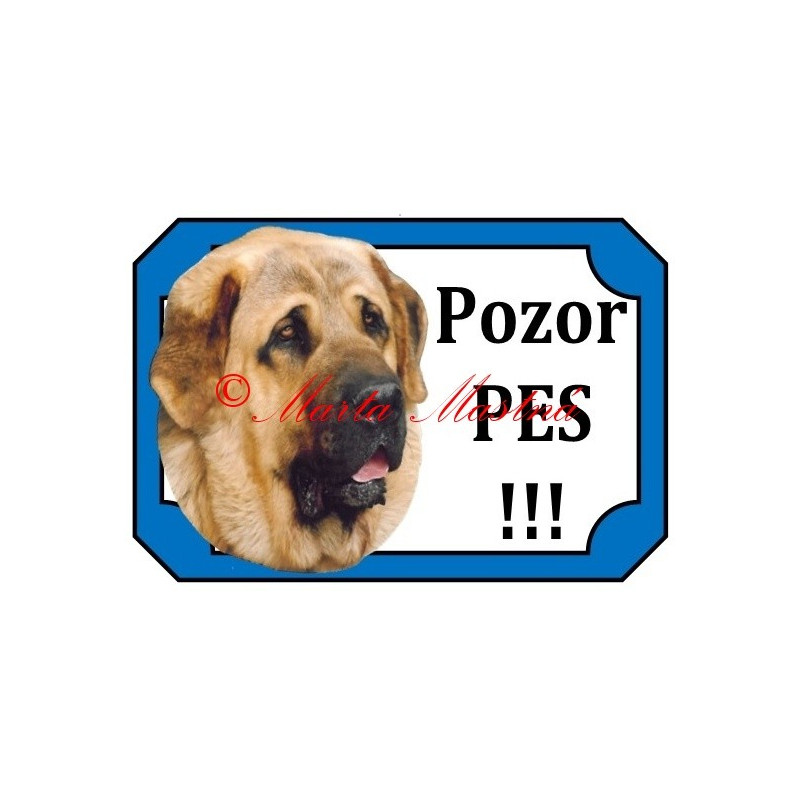 Tabulka španělský mastin