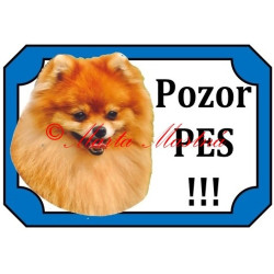 Tabulka špic, pomeranian