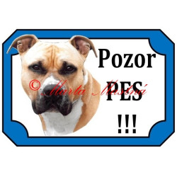 Tabulka staford, pitbul