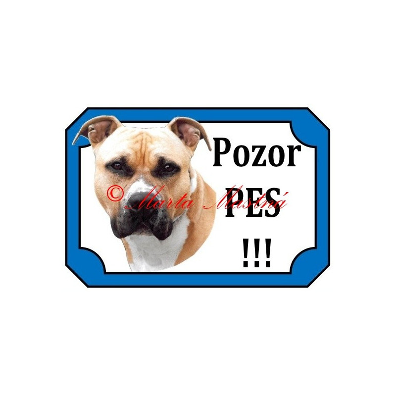 Tabulka staford, pitbul